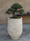 Pot en terre cuite crème rustique à texture vieillie et bandes décoratives