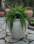Pot en terre cuite beige rustique à surface texturée et silhouette arrondie